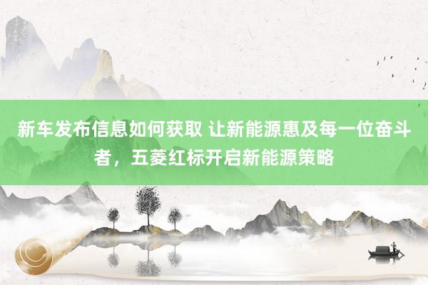 新车发布信息如何获取 让新能源惠及每一位奋斗者，五菱红标开启新能源策略