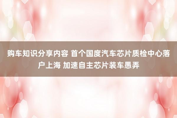 购车知识分享内容 首个国度汽车芯片质检中心落户上海 加速自主芯片装车愚弄