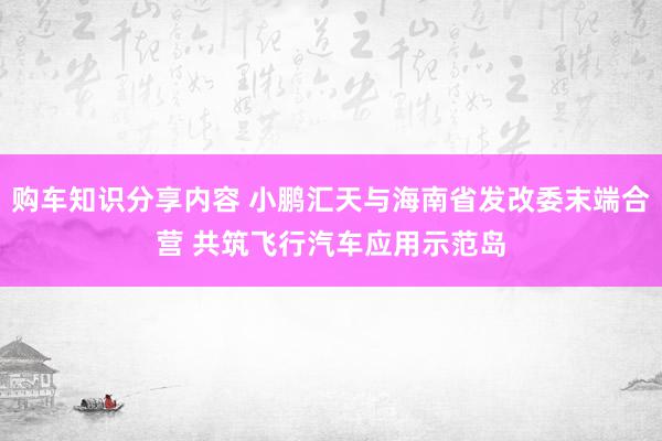 购车知识分享内容 小鹏汇天与海南省发改委末端合营 共筑飞行汽车应用示范岛