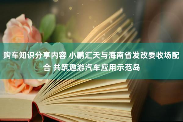 购车知识分享内容 小鹏汇天与海南省发改委收场配合 共筑遨游汽车应用示范岛