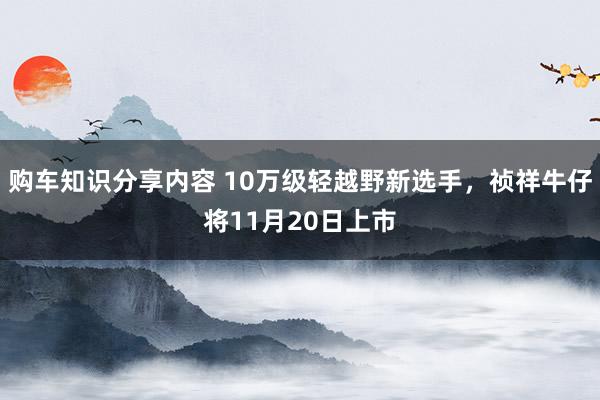 购车知识分享内容 10万级轻越野新选手，祯祥牛仔将11月20日上市