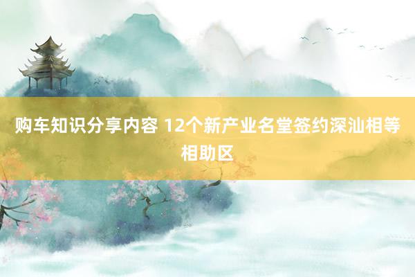 购车知识分享内容 12个新产业名堂签约深汕相等相助区