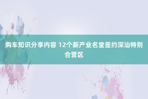 购车知识分享内容 12个新产业名堂签约深汕特别合营区