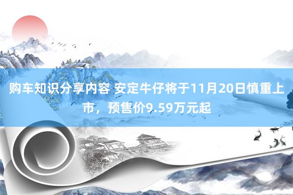 购车知识分享内容 安定牛仔将于11月20日慎重上市，预售价9.59万元起