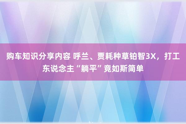 购车知识分享内容 呼兰、贾耗种草铂智3X，打工东说念主“躺平”竟如斯简单