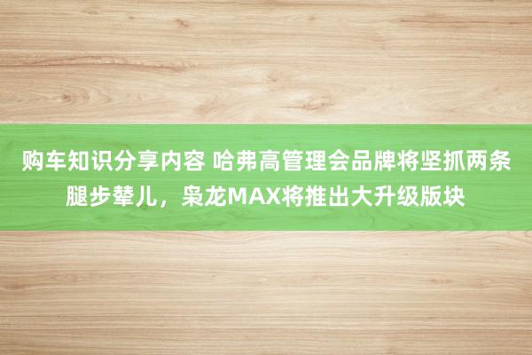 购车知识分享内容 哈弗高管理会品牌将坚抓两条腿步辇儿，枭龙MAX将推出大升级版块