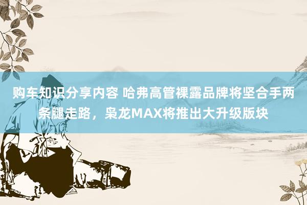 购车知识分享内容 哈弗高管裸露品牌将坚合手两条腿走路，枭龙MAX将推出大升级版块